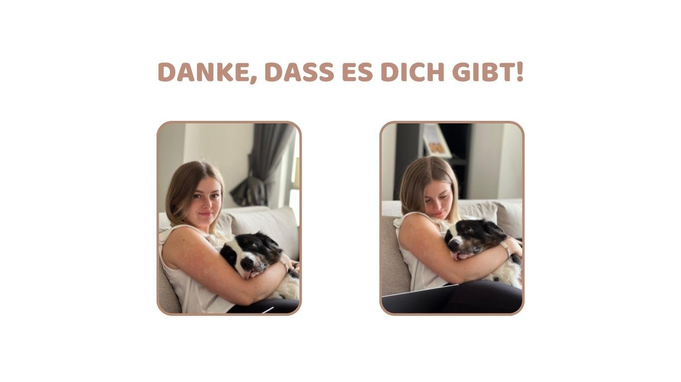 Warum wir nie wieder einen eBay Hund kaufen würden