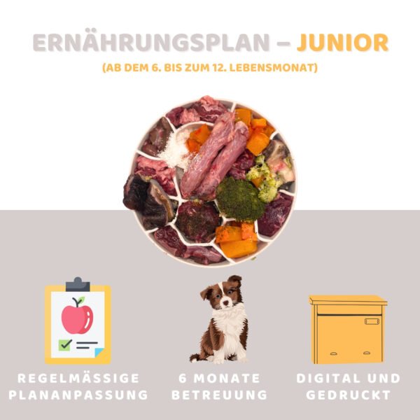 Ernährungsplan - Junior (ab dem 6. bis 12. Lebensmonat) [Digital]